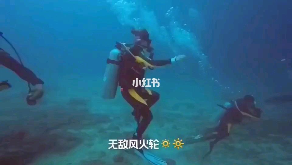 寻找答案?快来牛奶+鸡蛋一起吃,对身体要更好吗?问问!
